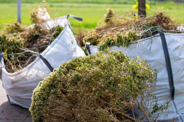 Best Scrap Metal Removal  in Parkers Prairie, MN