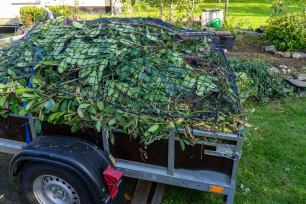 Shed Removal in Parkers Prairie, MN